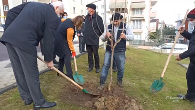İzmit’te meyveler dalından yenecek